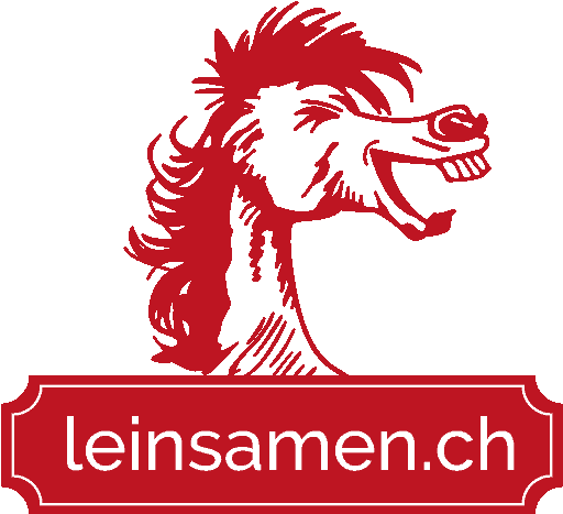 Logo LEINSAMEN.ch